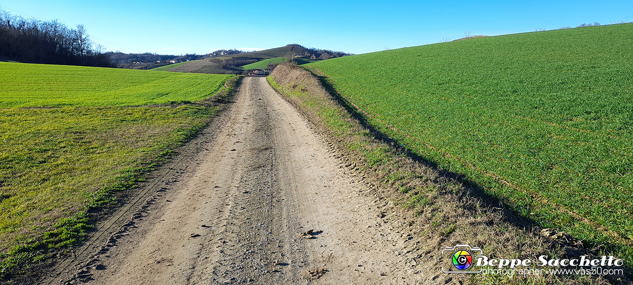 20230110_150931 - Dalla terra... il grano.jpg